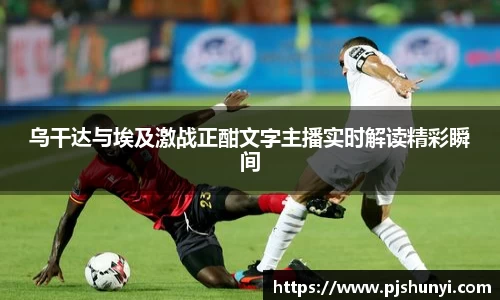 乌干达与埃及激战正酣文字主播实时解读精彩瞬间
